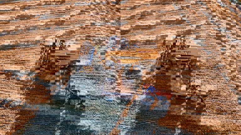 Alberta Wheat Exports Surge as Drought Disrupts Global Grain Supply